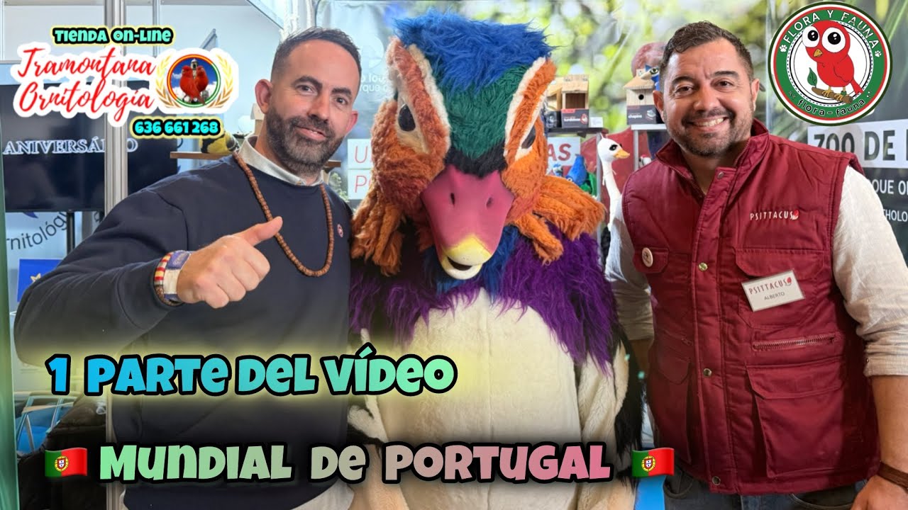 1 parte vídeo Mundial de Portugal 🇵🇹