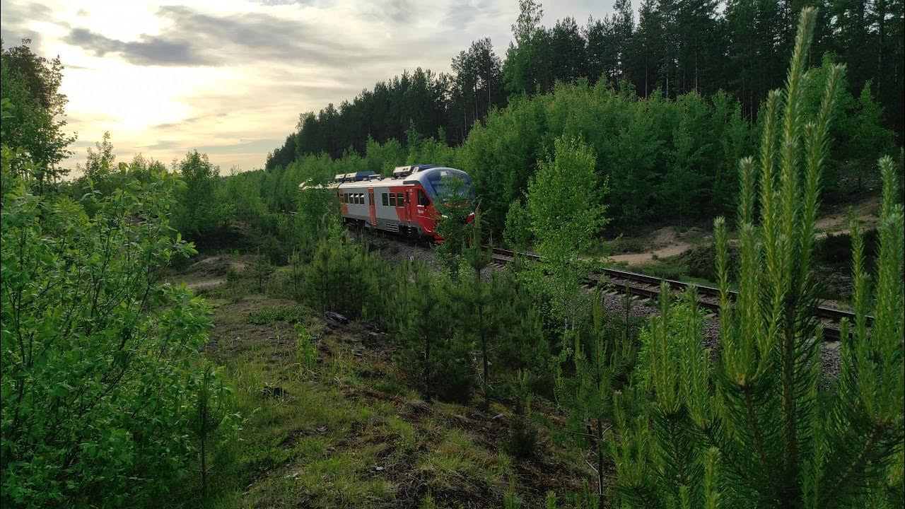 Поезда через сортавала. Поезд Лодейное поле Сортавала. Орлан Лодейное поле Сортавала. Поезд Орлан Сортавала. Рельсовый автобус Лодейное поле Сортавала.