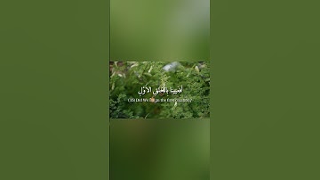 سورة ق الآيتان 15__16 | وَنَحنُ أَقرَبُ إِلَيهِ مِن حَبلِ الوَريدِ | بصوت القارئ ياسر الدوسري ✨️