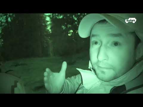 Silent Forest, One Shot | Capercaillie Hunt Bulgaria 2026