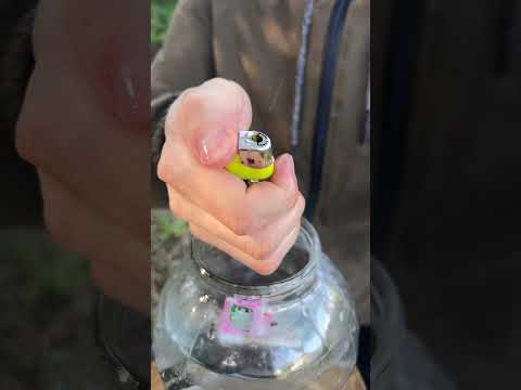 Video: Շնչառությունը ջուր կտա՞: