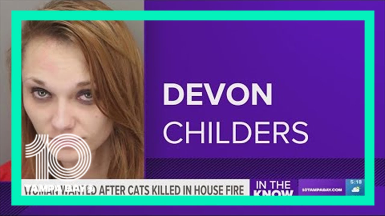 Clearwater fire that killed 2 cats intentionally set, police say; woman ...