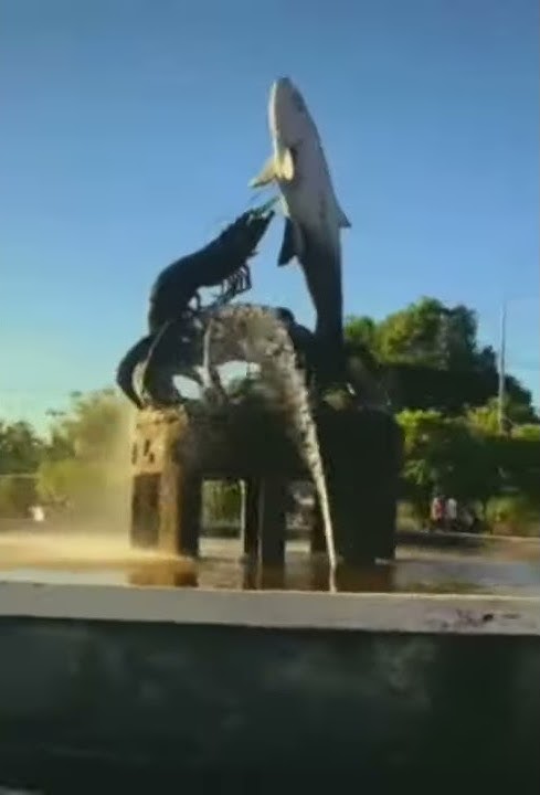 story wa (Tarakan)