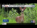 13 First Alert Forecast @6 07/02