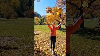 golden autumn in Bulgaria #relax #nature #naturelovers #travel #bulgaria #autumn