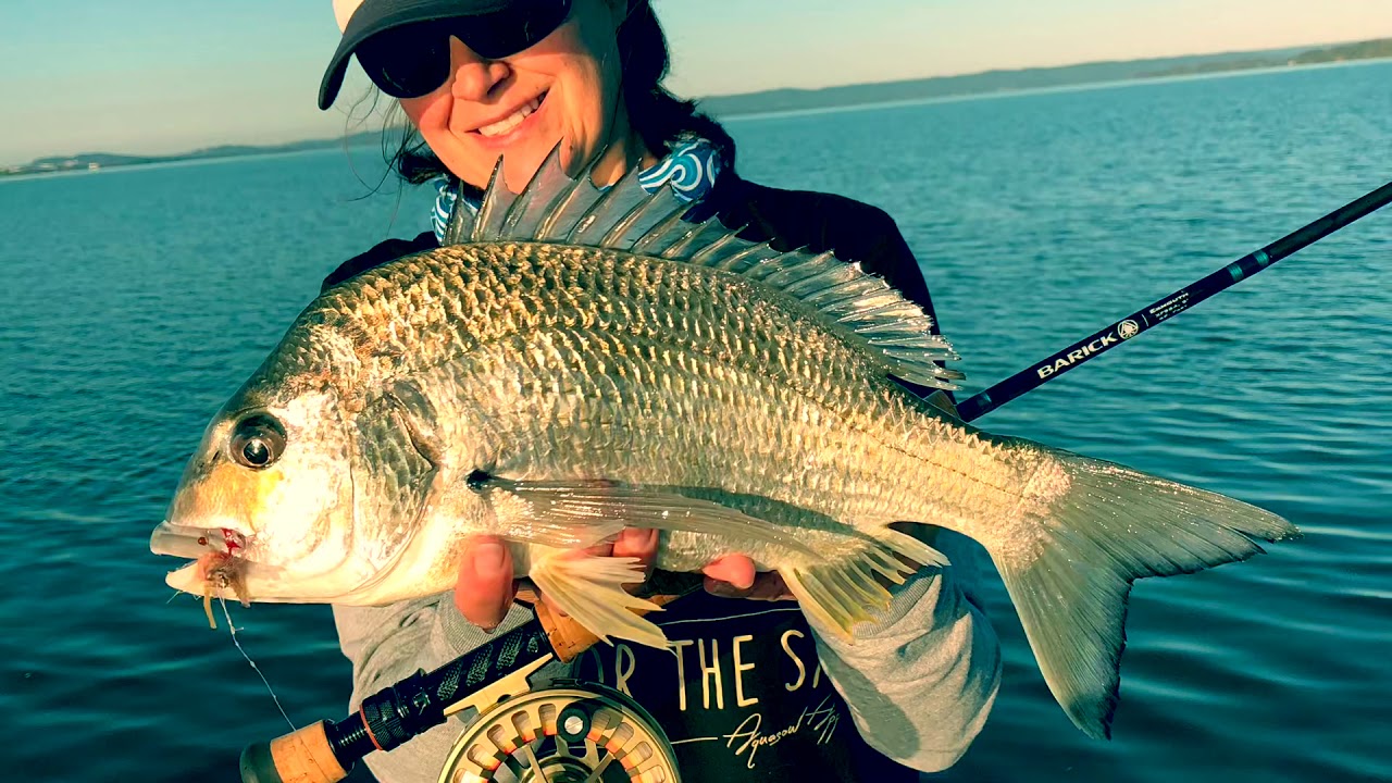 BWCflies Tuggerah Lakes Bream on Fly YouTube