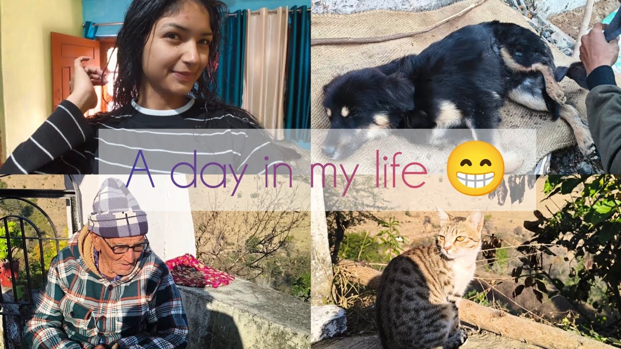 A day in my life 😁 