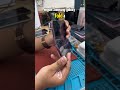 Kretek hape lipet