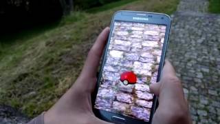 Echo24.De Testet Pokémon Go In Heilbronn