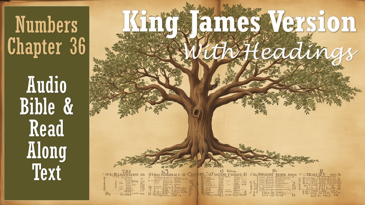 NUMBERS 36 | KJV DRAMATIZED AUDIO BIBLE (With Text & Images) - YouTube