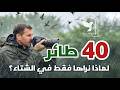 طيور الشتاء 40 طائر لا نراها الا في فصل الشتاء منها حساسين وبلاشين وطيطويات وطيور اخرى 