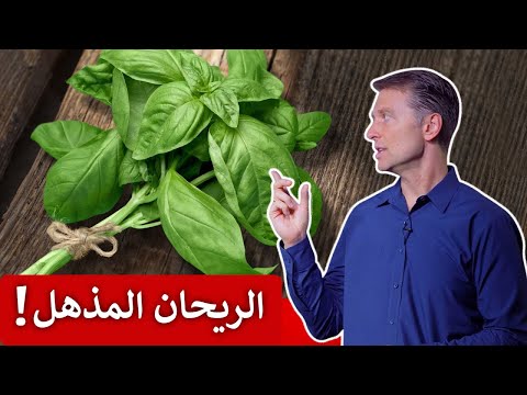 فيديو لماذا أضيف دائما الريحان الى السلطة , طب و صحة لماذا أضيف دائما الريحان الى السلطة