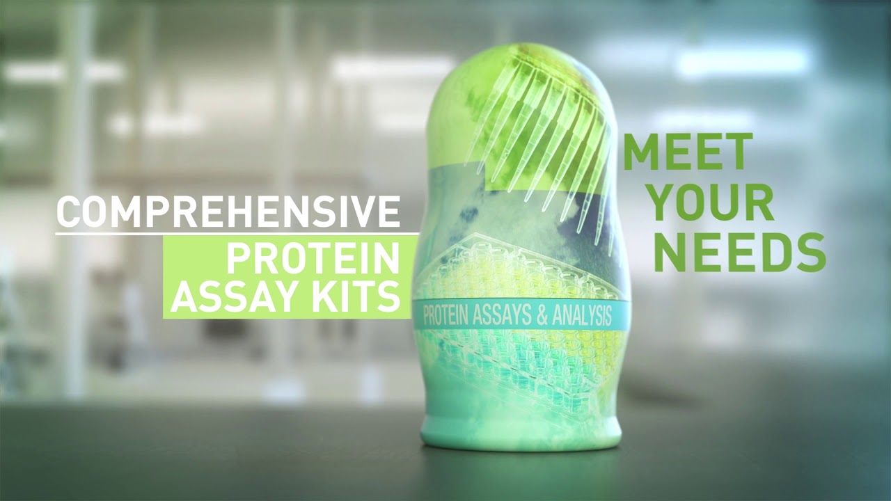 Meet Our Protein Assays and Analysis Doll