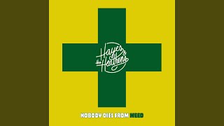 Video thumbnail of "Hayes & The Heathens - Nobody Dies From Weed"