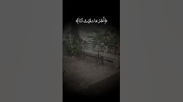 #تلاوه_خاشعه #quran_alkarim #المصحف #القران_الكريم #لايك #راحة_نفسية #quran #حالات_واتس #اكسبلور