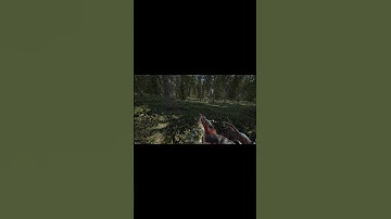 I saw movement you know? #shorts (Deadside)