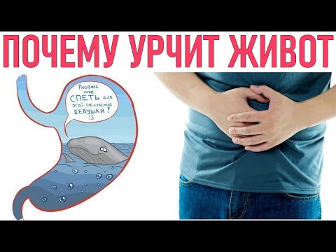 УРЧАНИЕ В ЖИВОТЕ | Почему урчит в животе и когда это может быть опасно