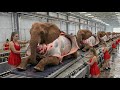 Inside the Elephant Leather Factory 🐘🔥 | From Raw Leather to Luxury Items | Shocking Craftsmanship