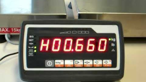 Dibal VD310 CHECKWEIGHER-WORKING