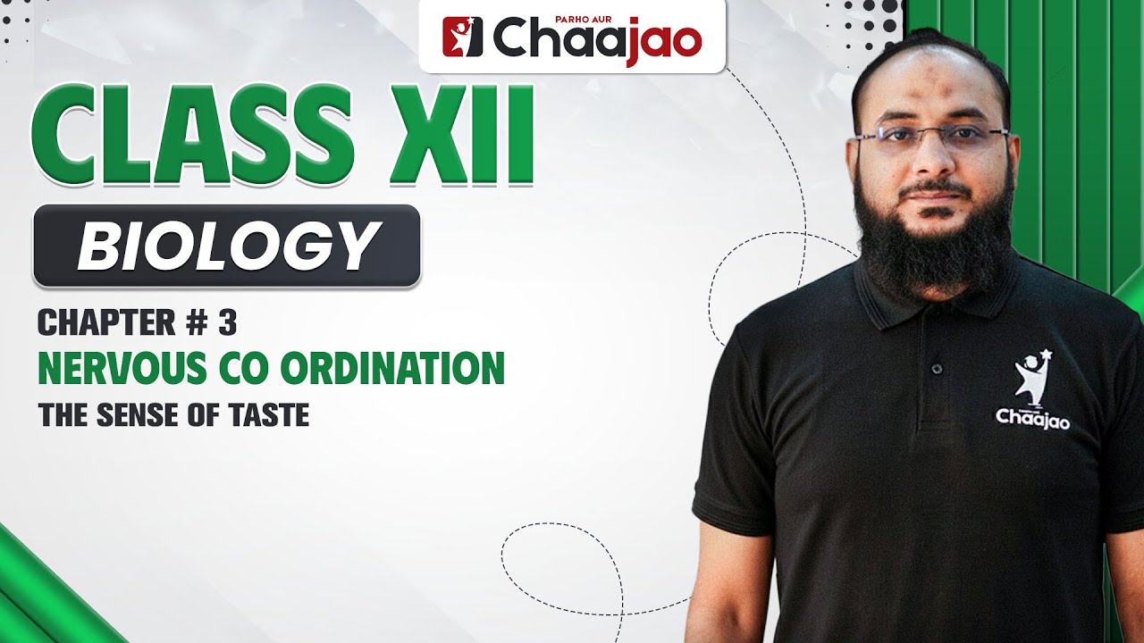 Чувство вкуса