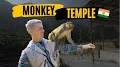 Monkey Temple India from m.youtube.com