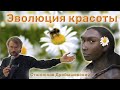 Эволюция красоты - Станислав Дробышевский.