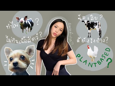 วีดีโอ: ทำไมเนื้อสัตว์ถึงอันตรายและควรค่าแก่การเลิกรา