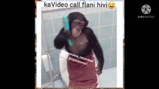 MAJIRANI WAMBEA | CHEKA NA MWAISA MTUMBAD