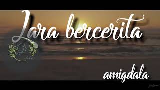 Unofficial video lyric - Lara Bercerita || Amigdala