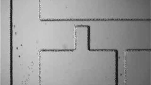DC-Dielectrophoretic separation of particles