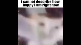 His name is shithead and he is a single celled organism - cat shitpost