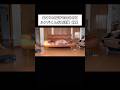 訳あって大型犬と暮らすことになったら #大型犬 #ゴールデンレトリバー #shorts