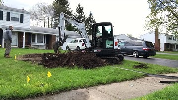 Pine stump removal and re-grade with Bobcat E35