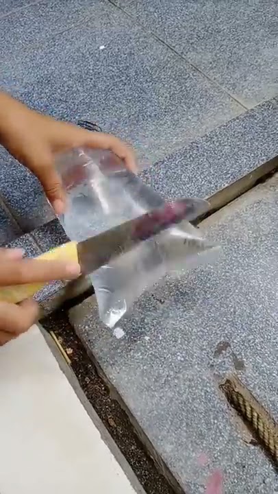 Sapi di potong