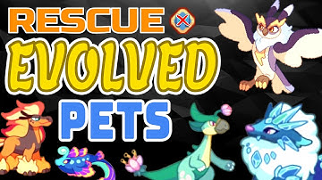 How to Rescue *EVOLVED* PETS With *NO* MEMBERSHIP!!! (Working 2024) | Prodigy Math Game