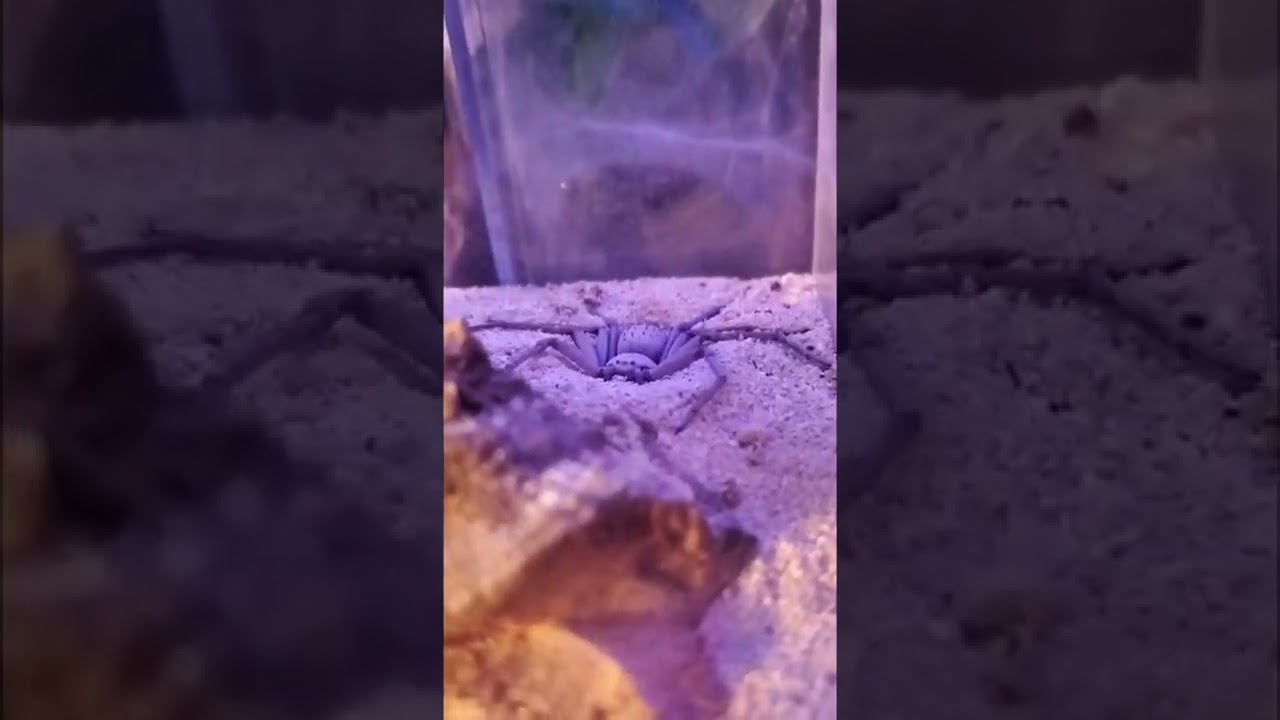 best word for nature beauty, 