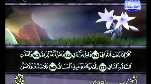 ختمة الشيخ سعد الغامدي 75 سورة القيامة
