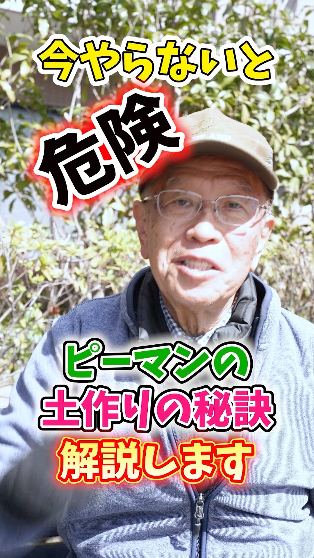 ぴーまんさん【5つ】 If you're growing bell peppers in your home garden or farm, you