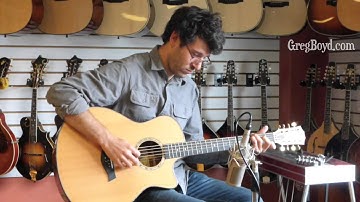 2010 Taylor Baritone 8-String Guitar