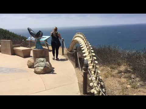 Cabrillo Coastal Defense