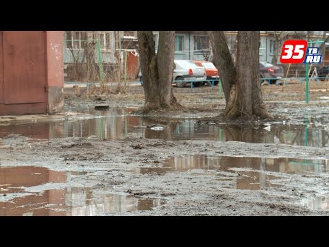 Осмотр дворов, попавших