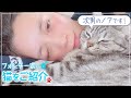 癒し映像vol.2😻フォンチーのペット「ノア」ぐーたら特集✨