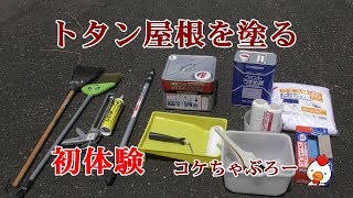 初体験　トタン屋根を塗る　　コケちゃぶろー