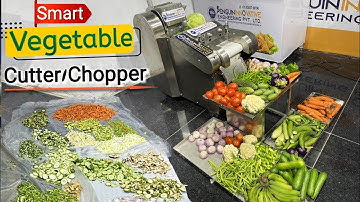 Smart Vegetable Cutter | Vegetable Cutting Machine | Vegetable Chopper