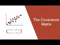 The covariance matrix