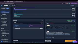 Famous CloudWise official demo Net Worth