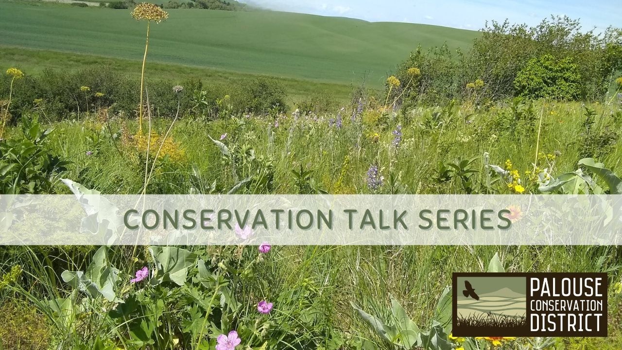Conservation Talk Series | Unique Species of the Palouse: Why Place Matters in Conservation