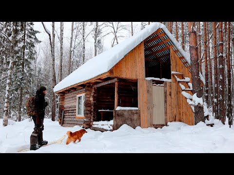 НАШЁЛ ХИЖИНУ ОХОТНИКОВ В ЗИМНЕМ ЛЕСУ И ТУТ ПРИШЛИ ОНИ...