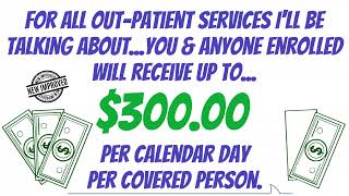 Famous NSU's Gap 2025 -2026   Grubbs-Ins.com Profile