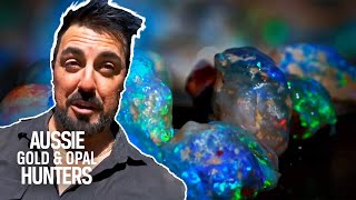 The BEST OPAL HAULS Of Season 9! | Outback Opal Hunters